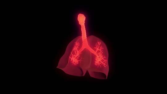 人体肺部吸入病毒动画带通道