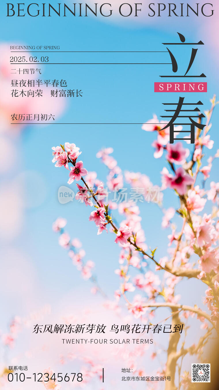 立春简约时尚二十四节气海报