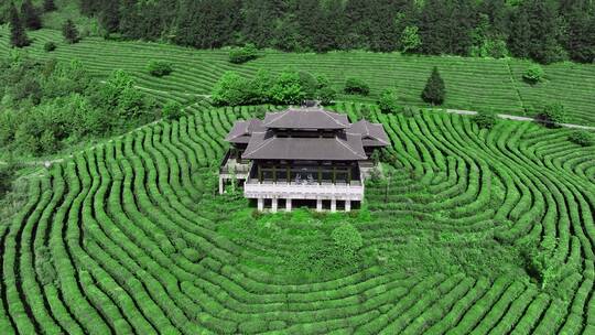 茶山茶海蓝天白云航拍