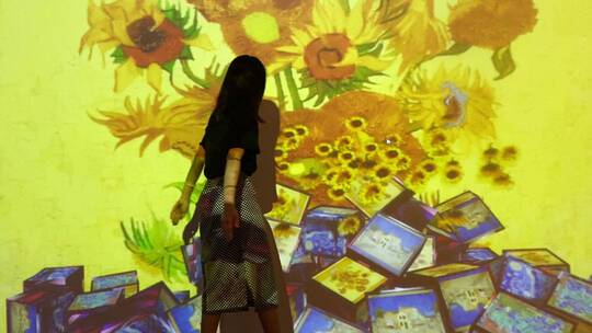 济南梵高艺术展，AR互动科技展览视频素材模板下载
