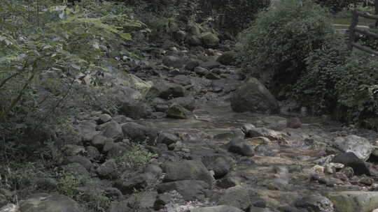 湖南省张家界奇峰山峰树林小河自然绿植pp8