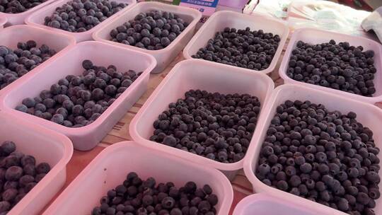 市场卖蓝莓水果摊商贩