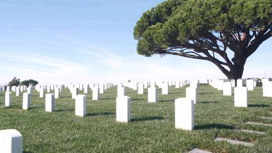 美国军事国家纪念公墓墓地墓碑视频素材模板下载