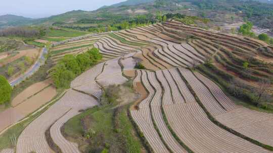 宝鸡梯田  汉封梯田