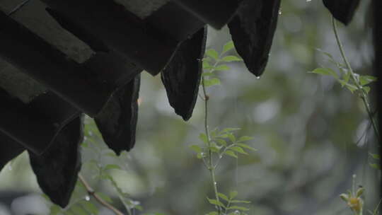 古建筑屋檐下雨 意境水滴 唯美屋檐雨滴