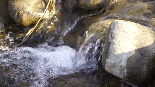 水 小溪 流动 河流 蜿蜒 清澈