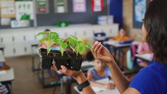 女老师给学生讲关于植物