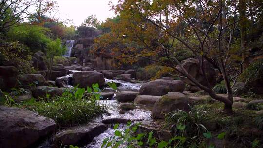 杭州西湖湖畔杭州花圃空镜头4K实拍视频
