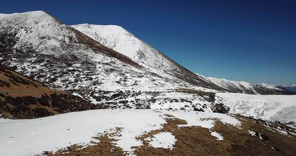 云南香格里拉德钦县白马雪山