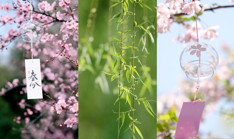 【合集】春分春天花朵春暖花开万物复苏