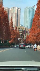 田园风光，风景