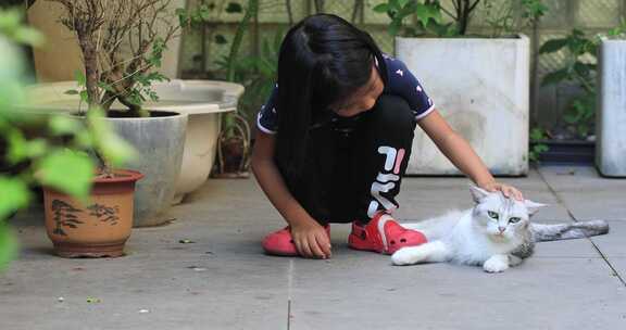 可爱小女孩与她的宠物猫在花园院子里玩耍