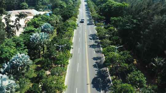 航拍海南博鳌的椰林城市道路