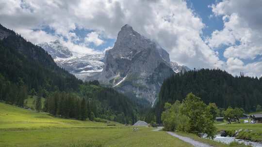 山间草地小溪旁的自然风景