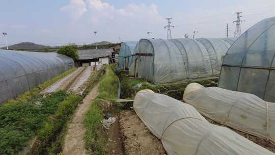 乡村田园农业种植蔬菜春耕蔬菜实拍