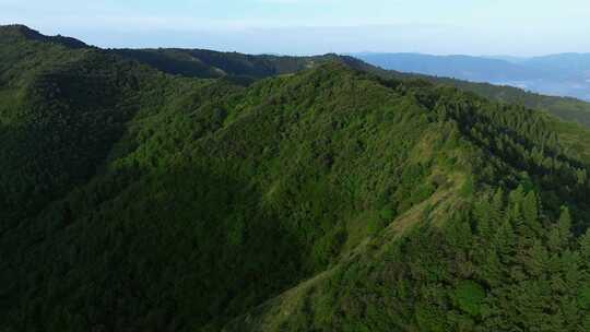 宁夏固原市六盘山森林公园