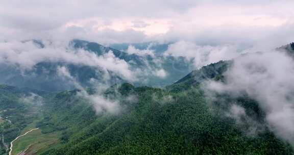 广西山区竹林竹海竹山云海翻滚航拍