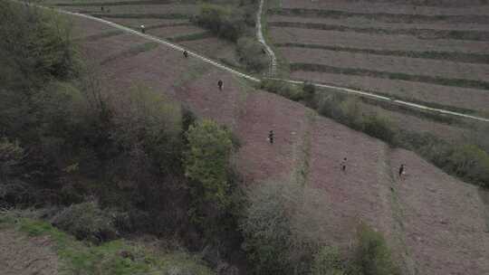 中国西部四川大凉山梯田自然风光