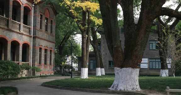 秋季苏州大学典雅建筑风光