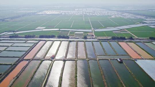 大型养鱼池基地