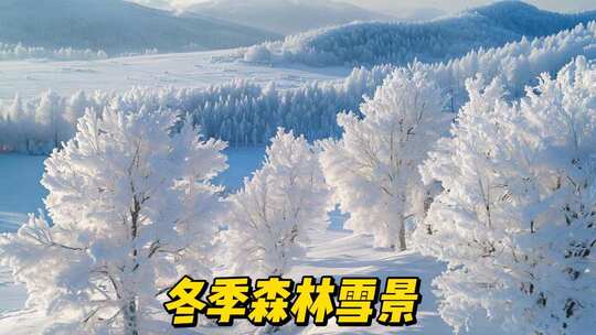 冬季森林雪景雾凇冰河