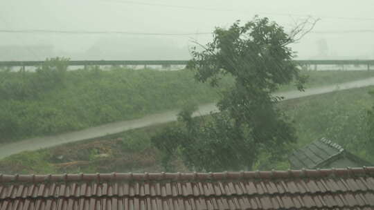 下雨清明谷雨酸雨倾盆大雨蒙蒙细雨视频素材模板下载