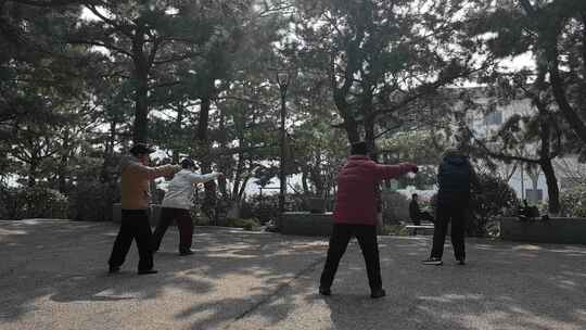 威海塔山公园清晨松林阳光锻练身体老人