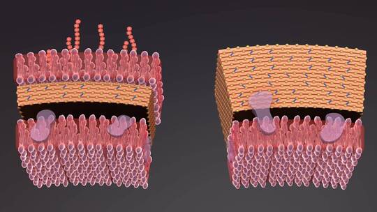 医学病原体病毒病原体病菌细菌医学三维动画