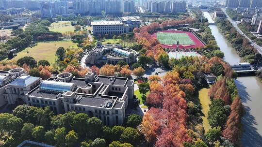 上海秋天 复旦大学 体育场 学校梧桐