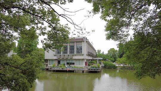 上海植物园品质绿色植被人流实拍