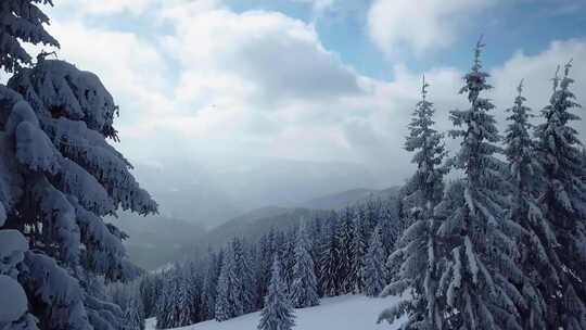 冬季风雪森林航拍大景