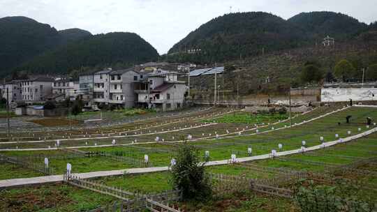 劳动空镜刨土锄地农场工人耕作劳作翻土