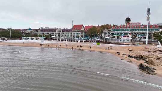 海边成群的海鸥