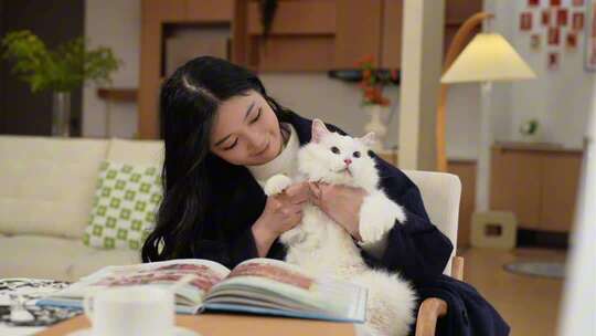 小猫宠物猫咪撸猫