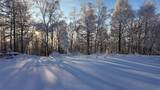 雪原森林纯净雾凇风景高清在线视频素材下载