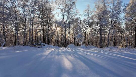 雪原森林纯净雾凇风景