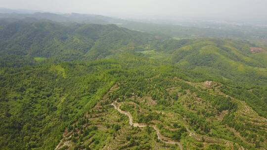 江西绿色青山林地