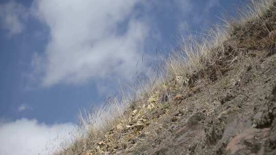蓝天白云草原土坡石头地里生长的草