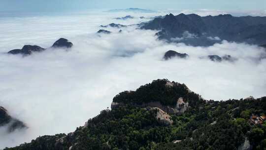 航拍陕西旅游5A级西岳华山景区云海山峰