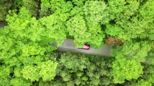 俯拍红的小车行驶在树林的小路上