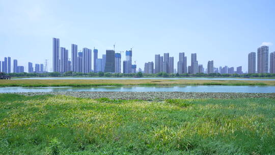 武汉杨春湖城市生态公园风景