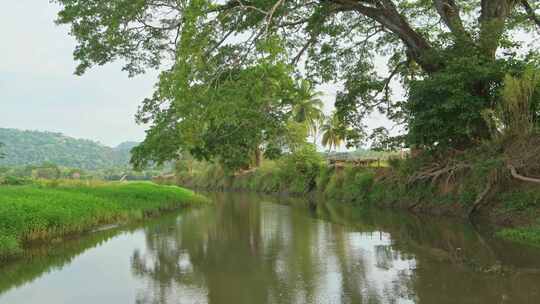 哥斯达黎加，塔尔科尔斯河，风景，乘船旅行