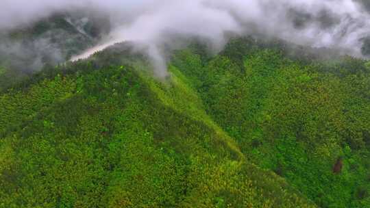 实拍雨后森林云雾缭绕 绿水青山 高山云海