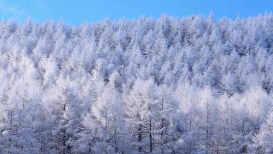 高原雪山雪景