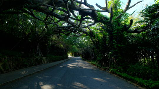 唯美山间郊外公路