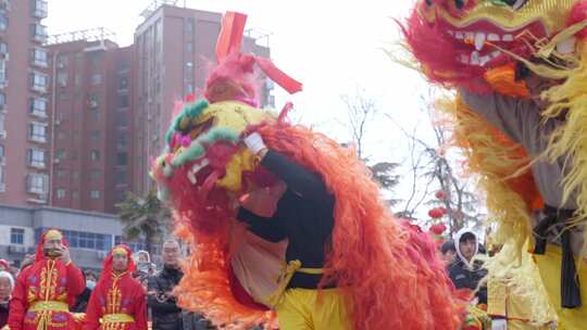 节日舞狮庆祝狮舞