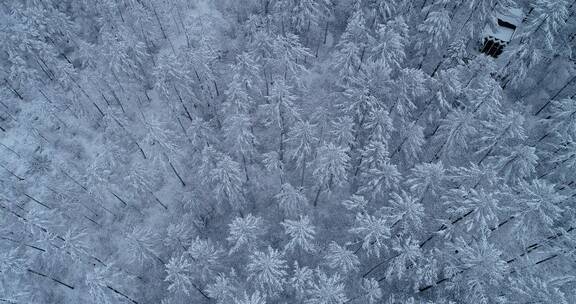 航拍大兴安岭冬季林海雪原雪景