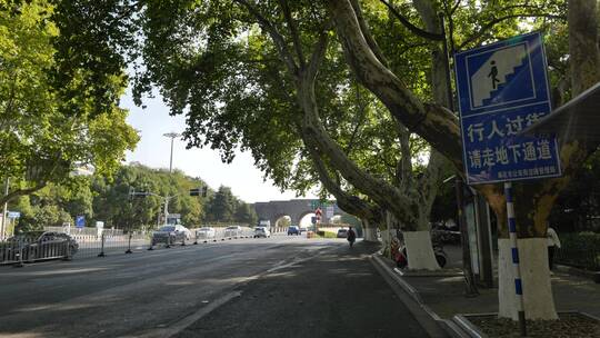 南京的街头梧桐树马路