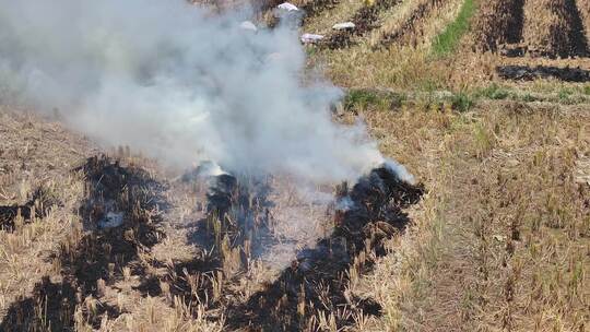 惠州万亩现代化实验农田航拍