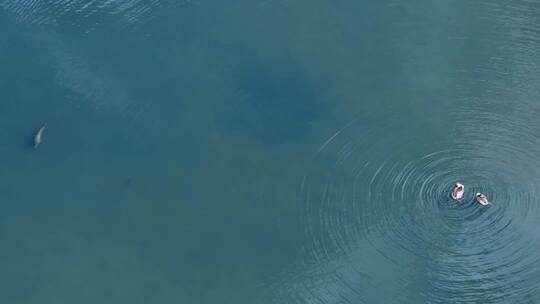 拉萨的拉鲁湿地